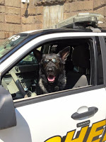 Smack Talk Directed at Police Animals: NOT Protected Speech