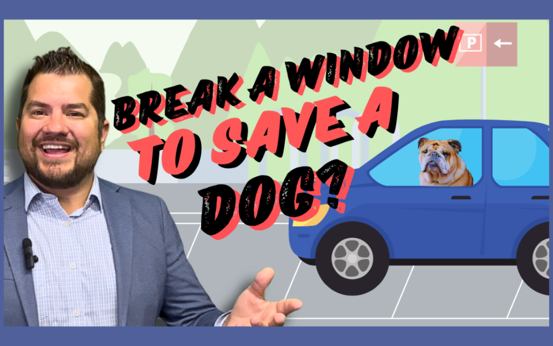 When Can You Legally Break into a Car for a Hot Dog?