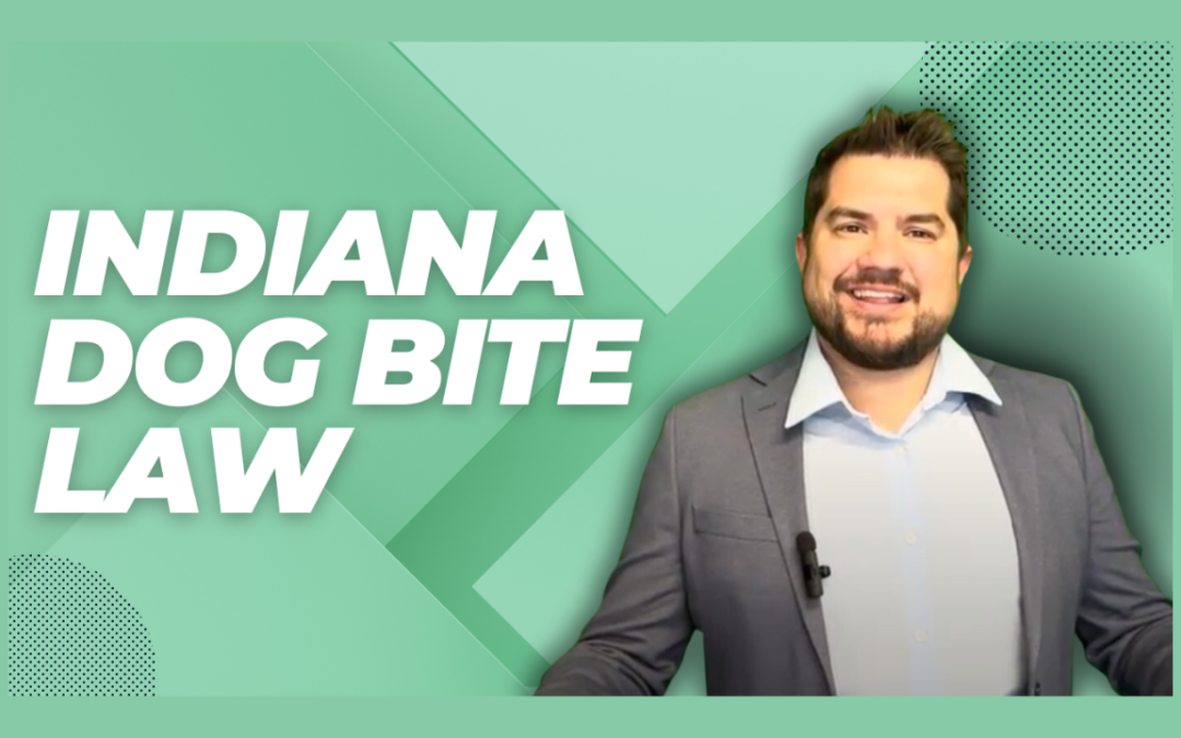 Dog Bite Laws in Indiana: Important Facts to Understand