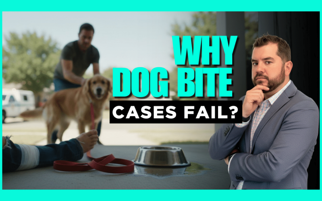 Why Some Indiana Dog Bite Cases Lead to Settlements and Others Don’t