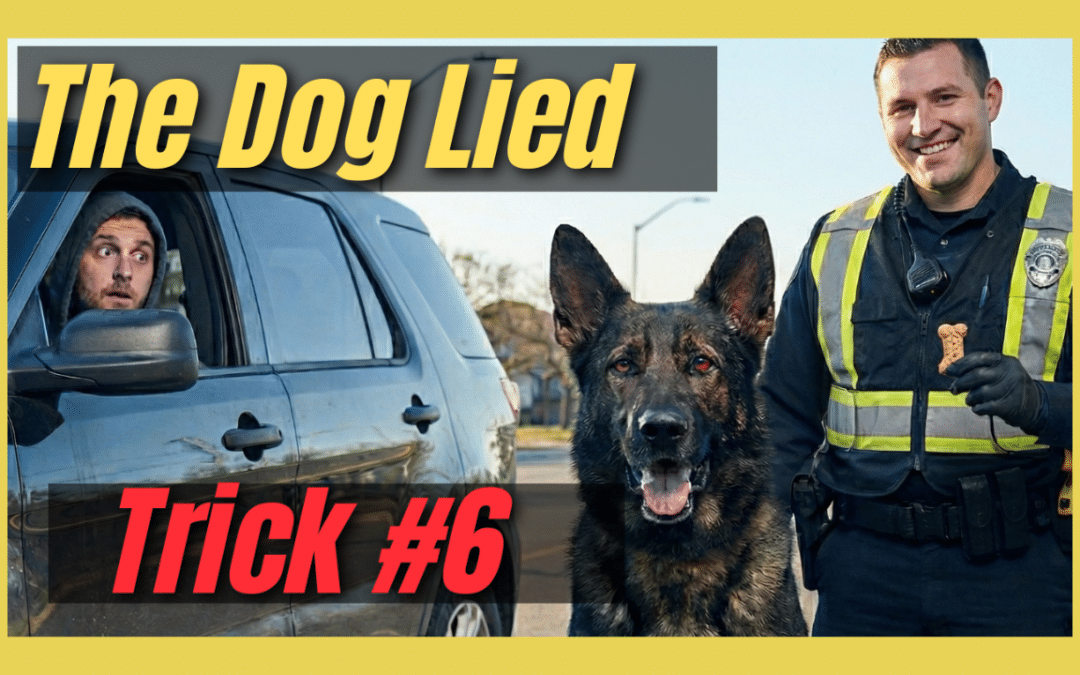7 Police Tricks That Get Innocent People Talking